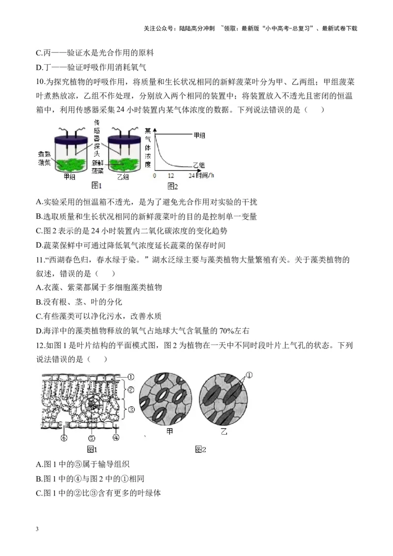专题三生物圈中的绿色植物&mdash;&mdash;2025年中考生物二轮专题达标训练（含解析）_02中考总复习（2026版更新中）_08-生物-中考总复习_2025中考复习资料_2025年中考生物二轮专题达标训练(含解析)