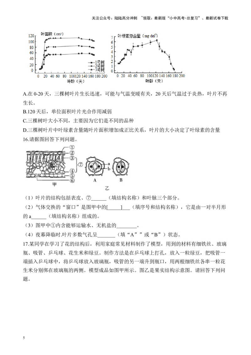 专题三生物圈中的绿色植物&mdash;&mdash;2025年中考生物二轮专题达标训练（含解析）_02中考总复习（2026版更新中）_08-生物-中考总复习_2025中考复习资料_2025年中考生物二轮专题达标训练(含解析)