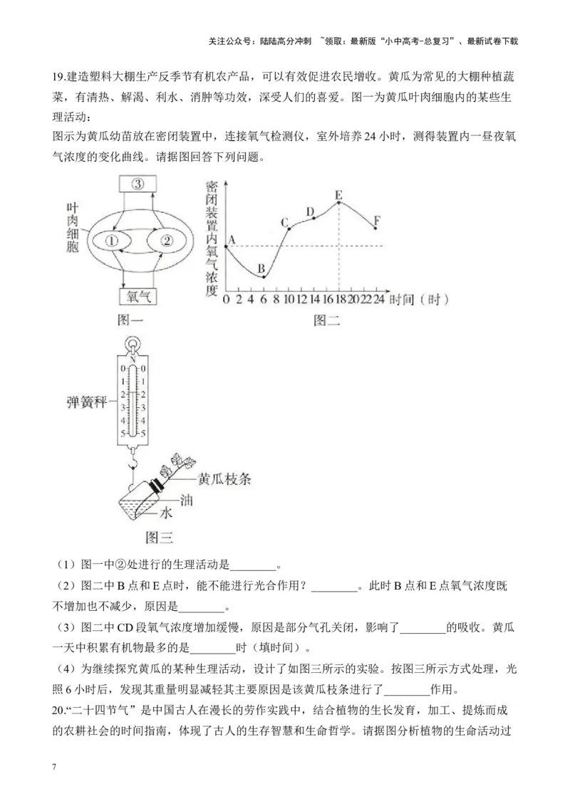 专题三生物圈中的绿色植物&mdash;&mdash;2025年中考生物二轮专题达标训练（含解析）_02中考总复习（2026版更新中）_08-生物-中考总复习_2025中考复习资料_2025年中考生物二轮专题达标训练(含解析)