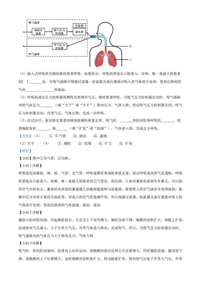 精品解析：北京市海淀区2021-2022学年七年级下学期期末生物试题（解析版）(1)_北京初中期末题_C605-京七八九_B京生物七八九_北京7下生物_2021-2022