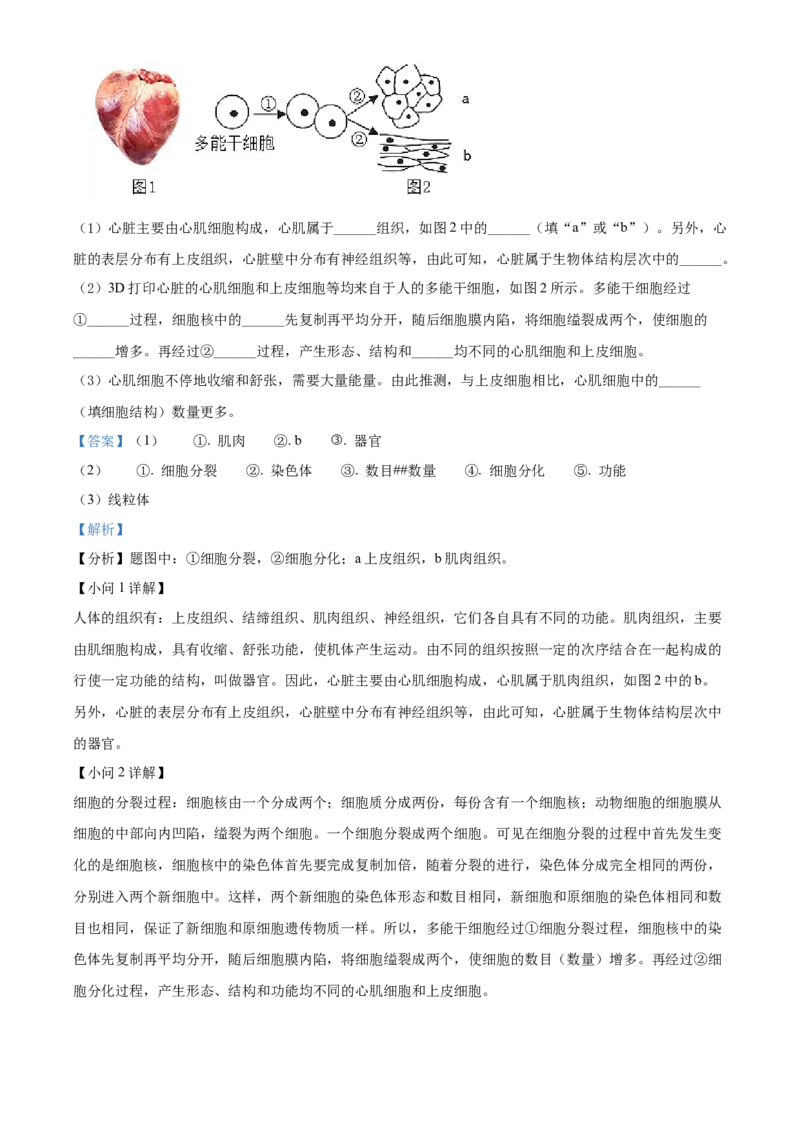 精品解析：北京市西城区2021-2022学年七年级上学期期末生物试题（解析版）(1)_北京初中期末题_C605-京七八九_B京生物七八九_北京7上生物_2021-2022