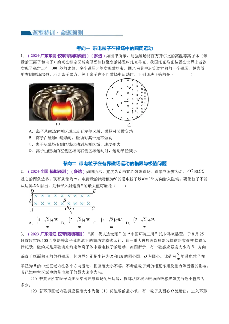 专题10磁场带电粒子在磁场中的运动（讲义）（原卷版）_4.2025物理总复习_2024年新高考资料_2.2024二轮复习_2024年高考物理二轮复习讲练测（新教材新高考）