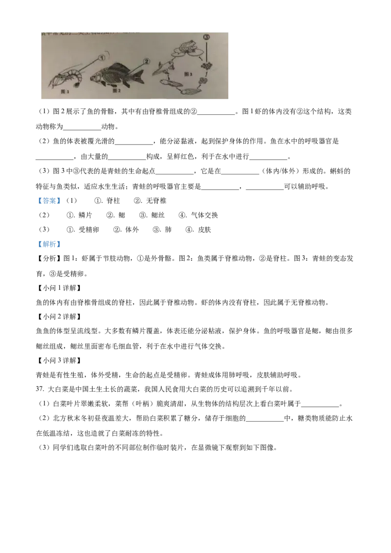 精品解析：北京市第十五中学2022-2023学年八年级上学期期中生物试题（解析版）(1)_北京初中期末题_C605-京七八九_B京生物七八九_北京八上生物_2022-2023