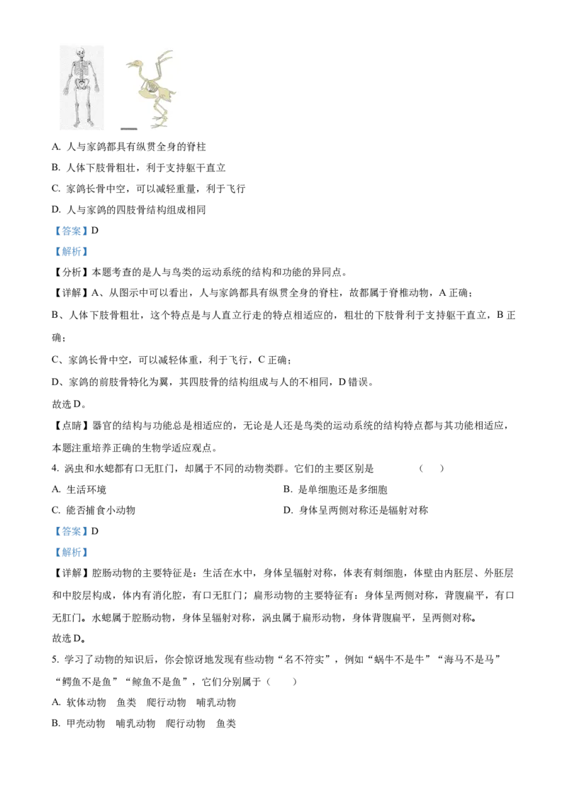 精品解析：北京市海淀区中国人民大学附属中学第二分校2022-2023学年八年级上学期期中生物试题（解析版）(1)_北京初中期末题_C605-京七八九_B京生物七八九_北京八上生物_2022-2023