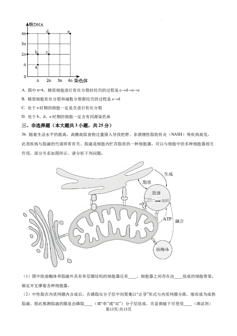 陕西省西安中学2024-2025学年高三上学期10月月考生物试题_A1502026各地模拟卷（超值！）_10月_241007陕西省西安中学2024-2025学年高三上学期10月月考（第一次质量检测考试）