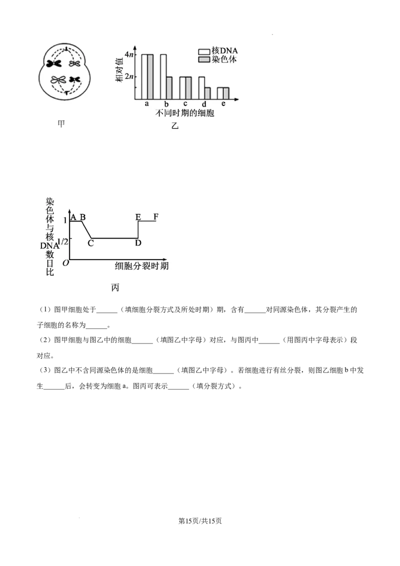 陕西省西安中学2024-2025学年高三上学期10月月考生物试题_A1502026各地模拟卷（超值！）_10月_241007陕西省西安中学2024-2025学年高三上学期10月月考（第一次质量检测考试）