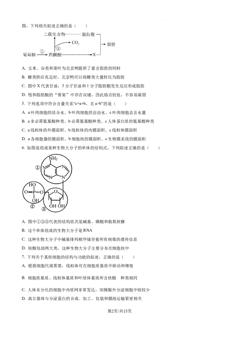 陕西省西安中学2024-2025学年高三上学期10月月考生物试题_A1502026各地模拟卷（超值！）_10月_241007陕西省西安中学2024-2025学年高三上学期10月月考（第一次质量检测考试）
