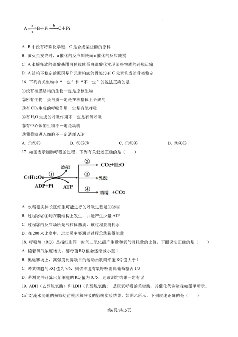 陕西省西安中学2024-2025学年高三上学期10月月考生物试题_A1502026各地模拟卷（超值！）_10月_241007陕西省西安中学2024-2025学年高三上学期10月月考（第一次质量检测考试）