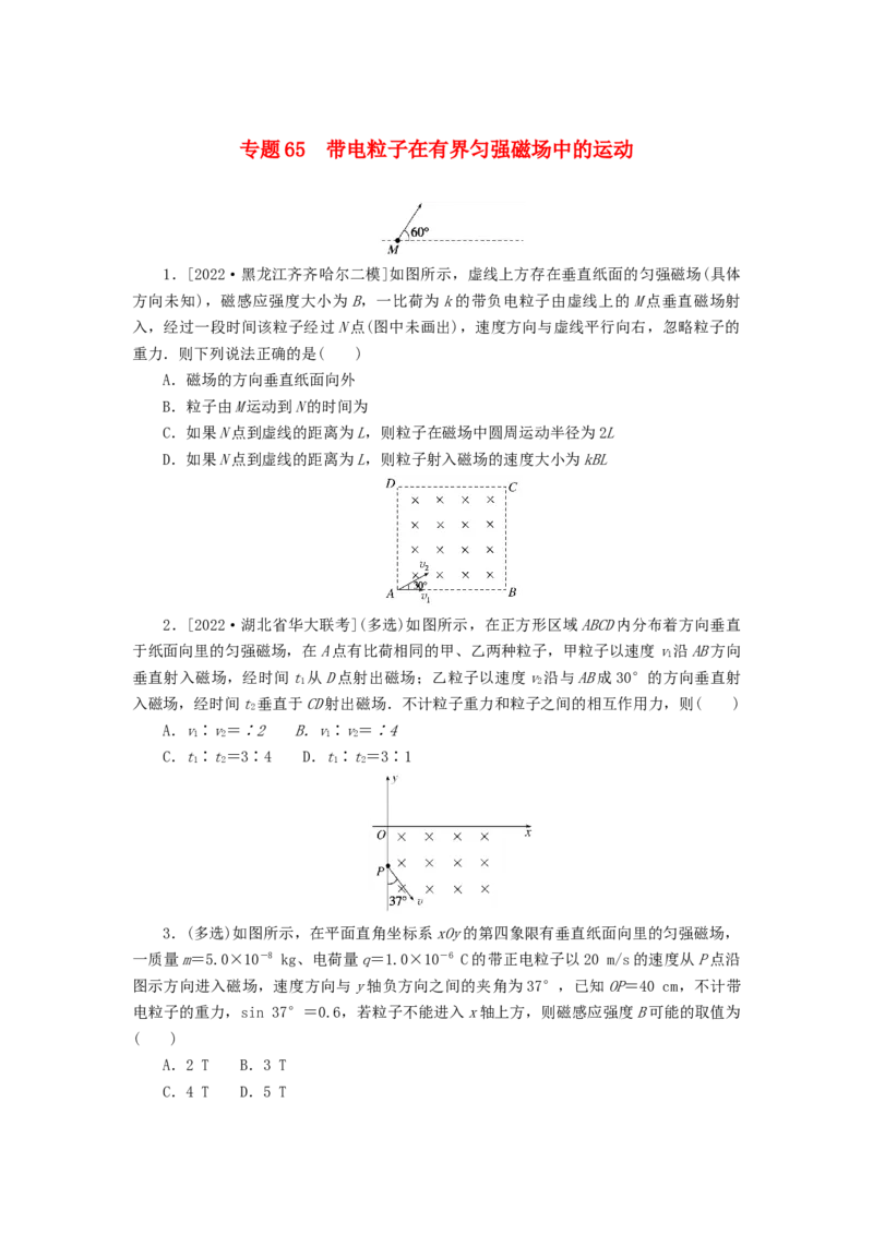 2023版新教材高考物理微专题小练习专题65带电粒子在有界匀强磁场中的运动_4.2025物理总复习_2023年新高复习资料_专项复习_2023版新高考物理微专题练习