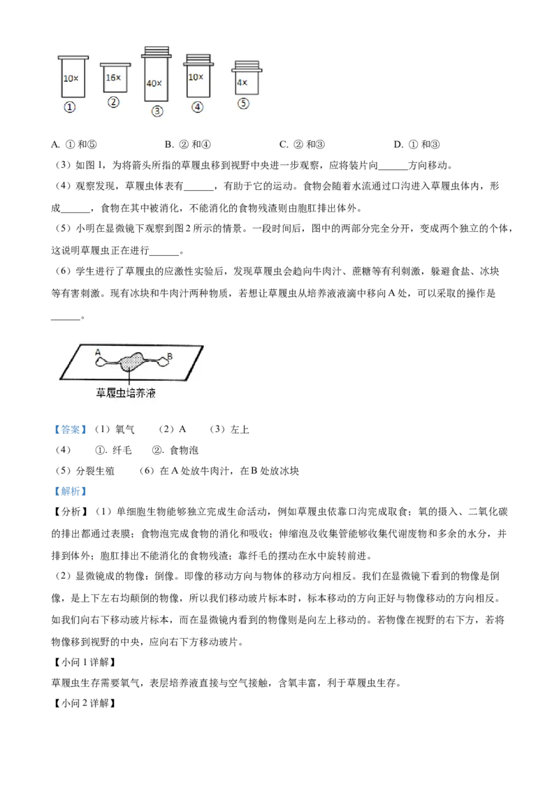 精品解析：北京市朝阳区2021-2022学年上学期期末检测七年级生物试题(选用)（解析版）(1)_北京初中期末题_C605-京七八九_B京生物七八九_北京7上生物_2021-2022