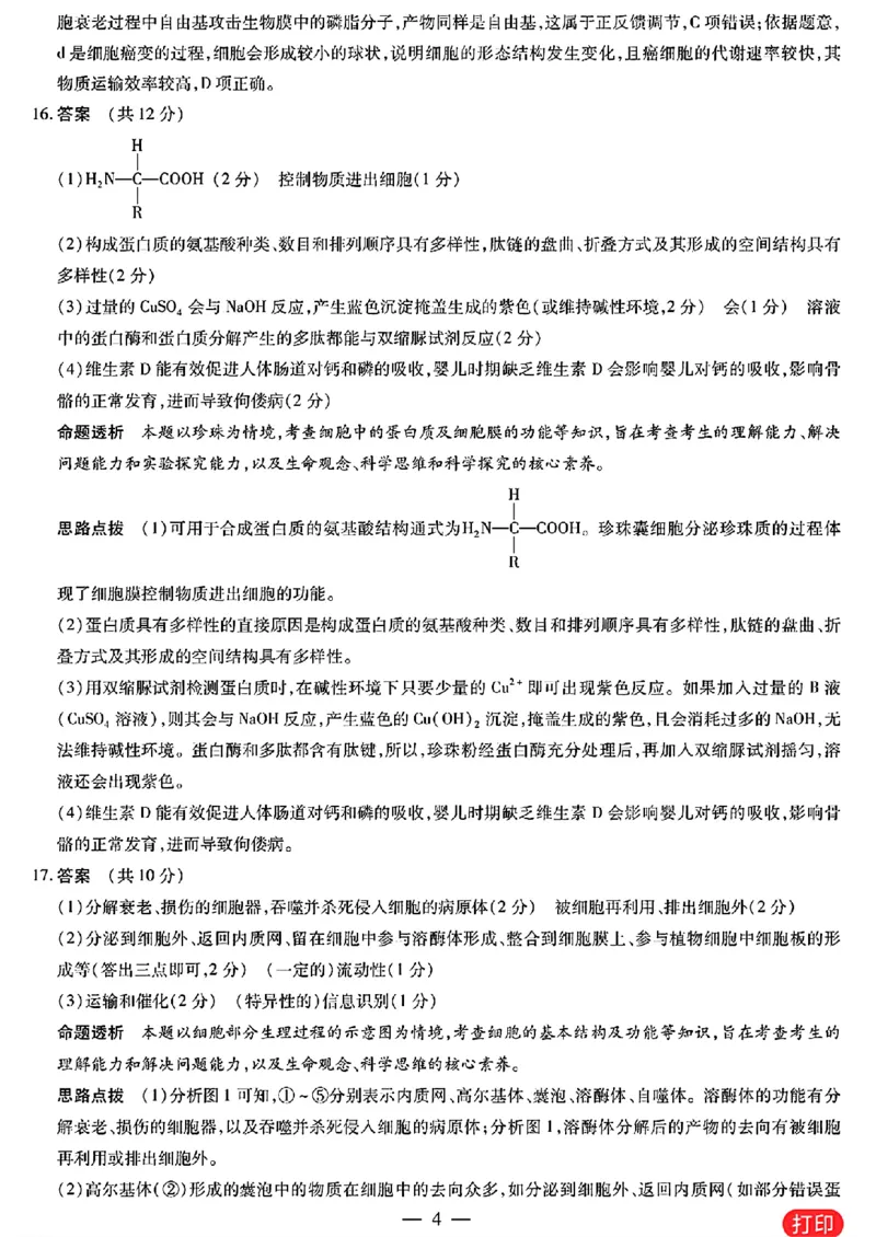 生物学答案_A1502026各地模拟卷（超值！）_10月_241013天一大联考皖豫名校联盟2024-2025学年高三10月联考_安徽省皖豫名校联盟2025届高三上学期10月联考（一模）生物