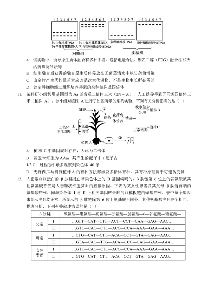重庆市西南大学附属中学校2024-2025学年高三上学期11月阶段性检查生物试题（二））_A1502026各地模拟卷（超值！）_12月