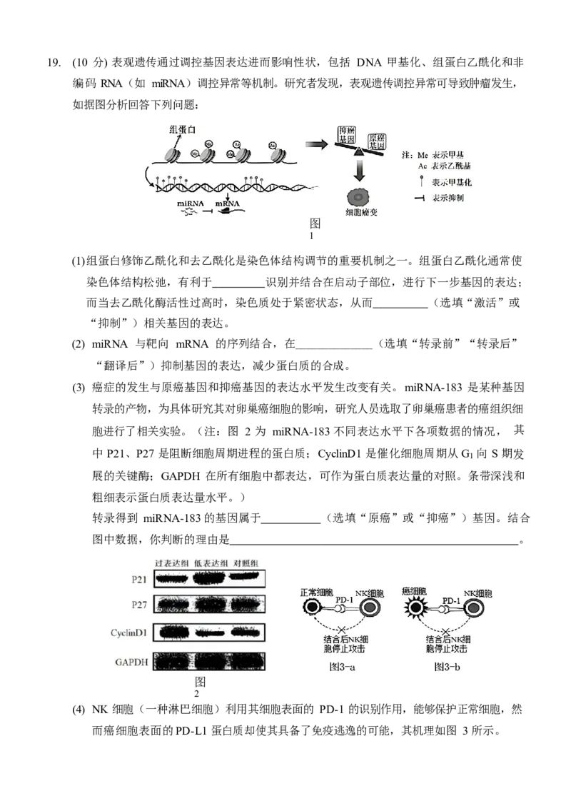 重庆市西南大学附属中学校2024-2025学年高三上学期11月阶段性检查生物试题（二））_A1502026各地模拟卷（超值！）_12月