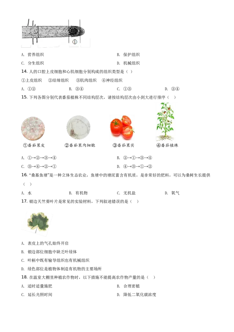 精品解析：北京市石景山区2020-2021学年第一学期七年级生物期末试题（原卷版）(1)_北京初中期末题_C605-京七八九_B京生物七八九_北京7上生物_2020-2021