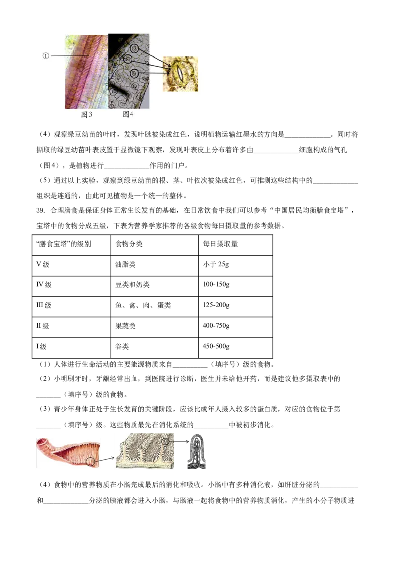 精品解析：北京市石景山区2020-2021学年第一学期七年级生物期末试题（原卷版）(1)_北京初中期末题_C605-京七八九_B京生物七八九_北京7上生物_2020-2021