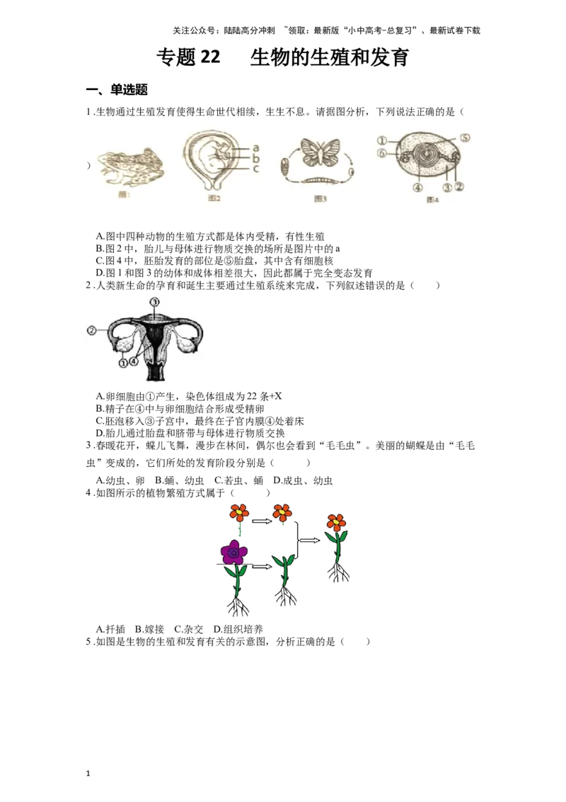 专题22生物的生殖和发育（原卷版）_02中考总复习（2026版更新中）_08-生物-中考总复习_2024年中考复习资料_一轮复习_配套练习