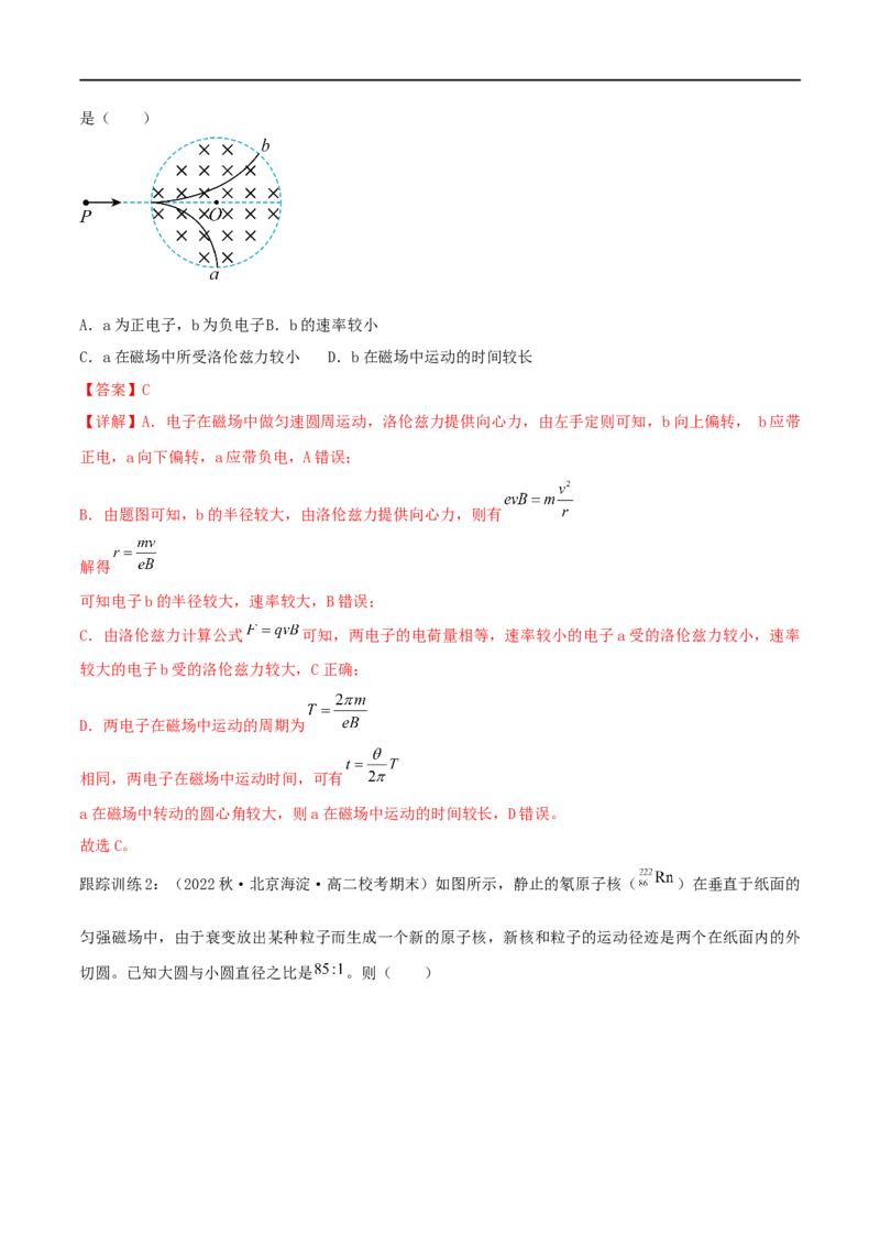 10讲带电粒子在磁场中的运动解析版_4.2025物理总复习_2023年新高复习资料_二轮复习_2023届高三物理二轮复习精讲精练（新高考）
