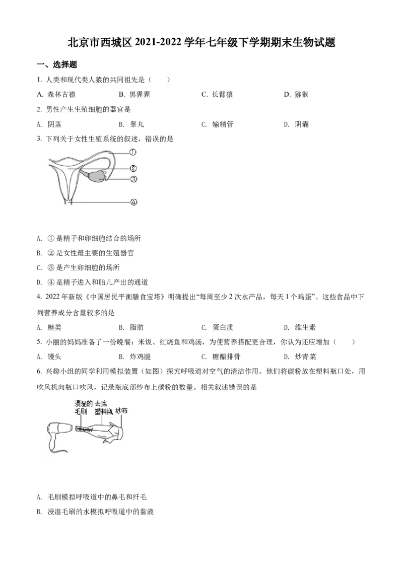 精品解析：北京市西城区2021-2022学年七年级下学期期末生物试题（原卷版）(1)_北京初中期末题_C605-京七八九_B京生物七八九_北京7下生物_2021-2022