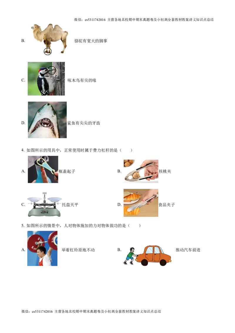 精品解析：北京市第五中学分校2024-2025学年九年级上学期第一次阶段性练习物理试题（原卷版）(1)_北京初中期末题_C605-京七八九_北京9上物理_2024-2025（持续更新）_月考