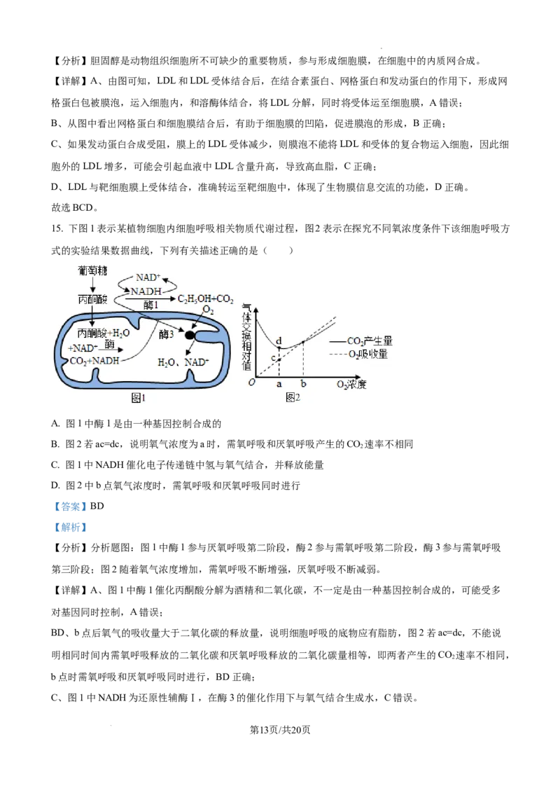 江西省宜春市丰城市第九中学2024-2025学年高三上学期第一次段考生物答案_A1502026各地模拟卷（超值！）_10月
