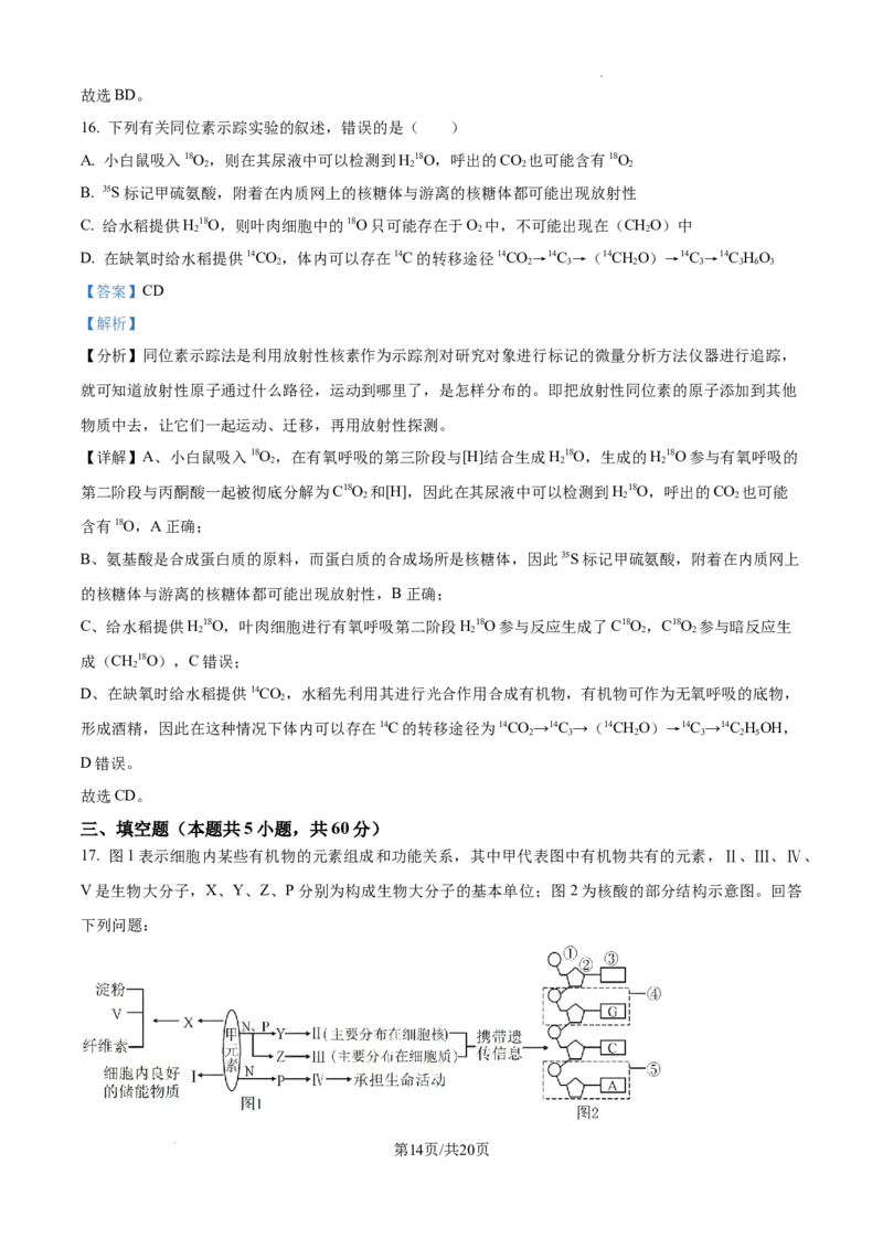 江西省宜春市丰城市第九中学2024-2025学年高三上学期第一次段考生物答案_A1502026各地模拟卷（超值！）_10月