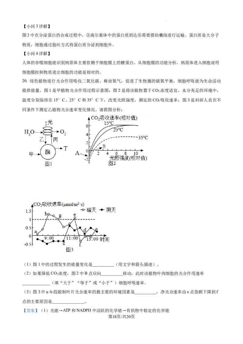 江西省宜春市丰城市第九中学2024-2025学年高三上学期第一次段考生物答案_A1502026各地模拟卷（超值！）_10月