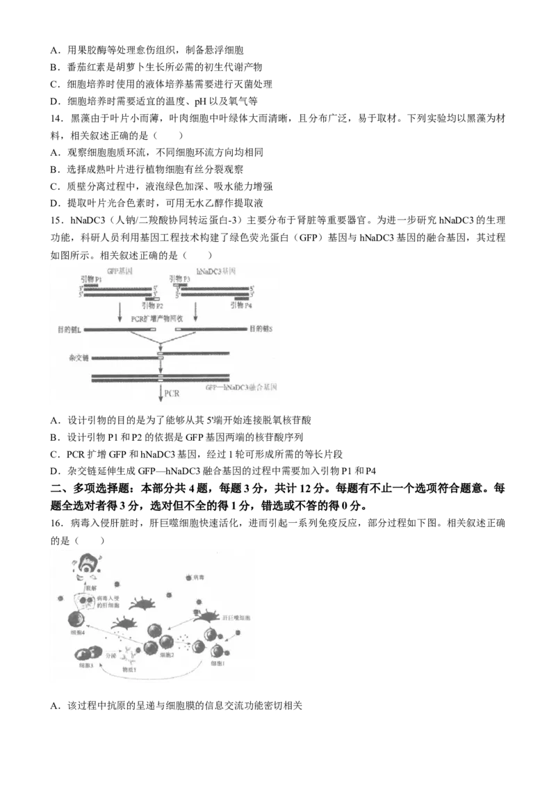 江苏省南通市2025届高三上学期9月份调研测试生物试题（含答案）_A1502026各地模拟卷（超值！）_9月_240913江苏省南通市2025届高三上学期9月份调研测试