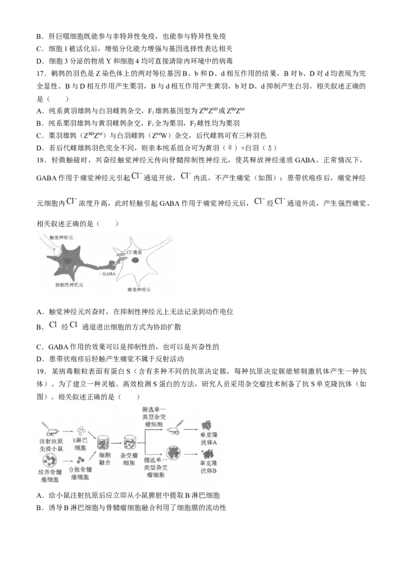 江苏省南通市2025届高三上学期9月份调研测试生物试题（含答案）_A1502026各地模拟卷（超值！）_9月_240913江苏省南通市2025届高三上学期9月份调研测试