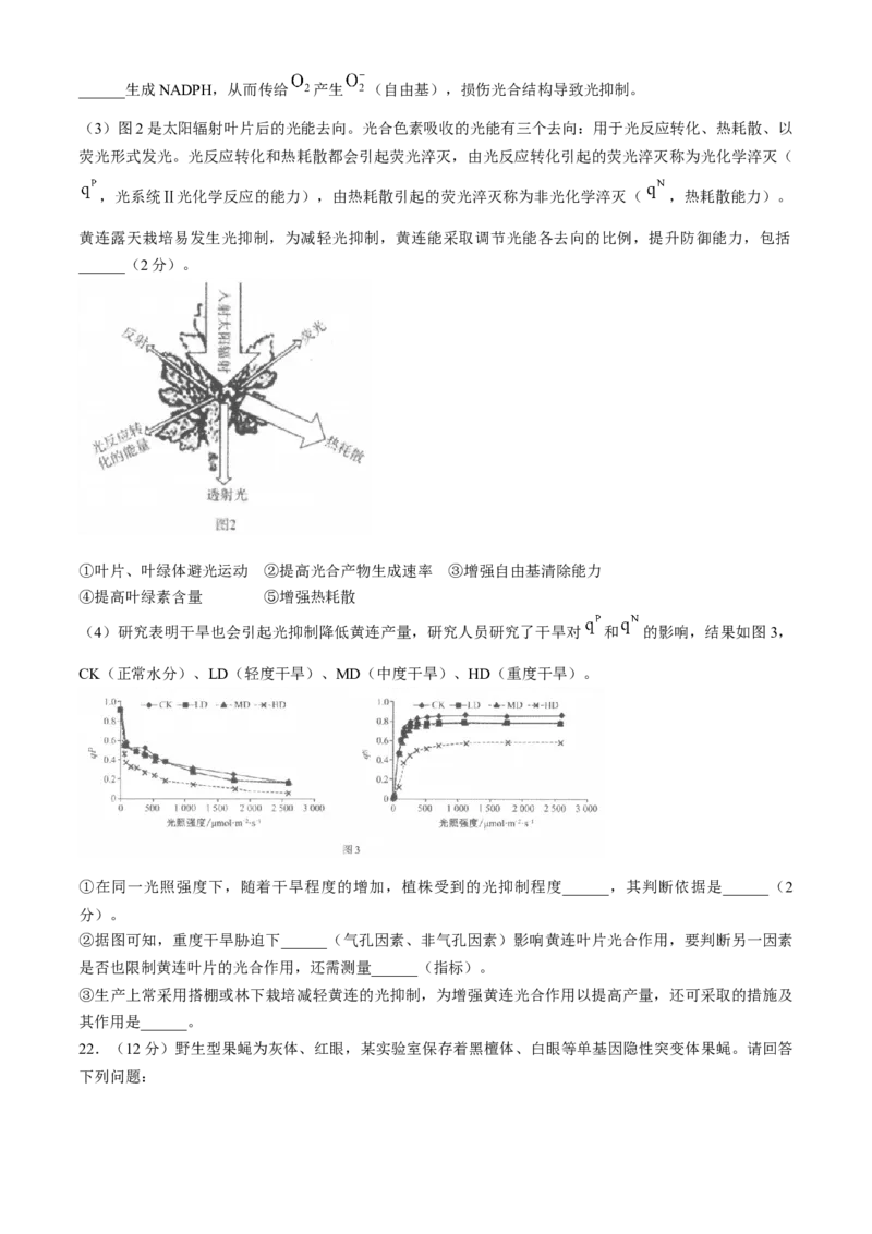 江苏省南通市2025届高三上学期9月份调研测试生物试题（含答案）_A1502026各地模拟卷（超值！）_9月_240913江苏省南通市2025届高三上学期9月份调研测试