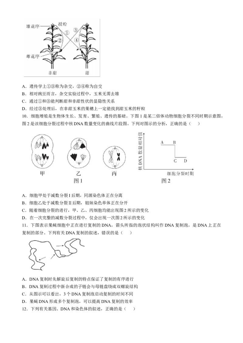 江西省多校联考2024-2025学年高三上学期期中考试生物试题（含解析）_A1502026各地模拟卷（超值！）_11月_241107江西省上进联考2024-2025学年高三上学期11月期中调研测试