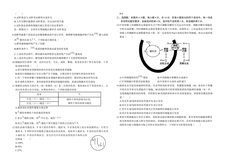 湖南省部分学校2024-2025学年高三上学期10月阶段检测联合考试生物试题+答案_A1502026各地模拟卷（超值！）_10月_241016湖南省金太阳2024-2025学年高三上学期10月阶段检测联合考试