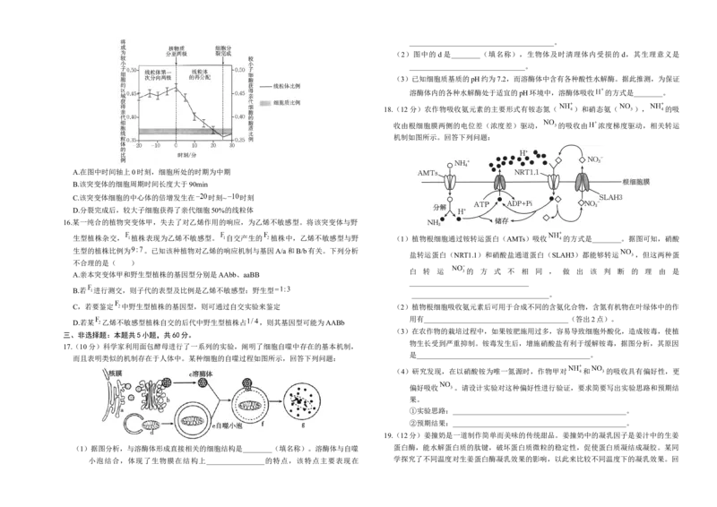 湖南省部分学校2024-2025学年高三上学期10月阶段检测联合考试生物试题+答案_A1502026各地模拟卷（超值！）_10月_241016湖南省金太阳2024-2025学年高三上学期10月阶段检测联合考试