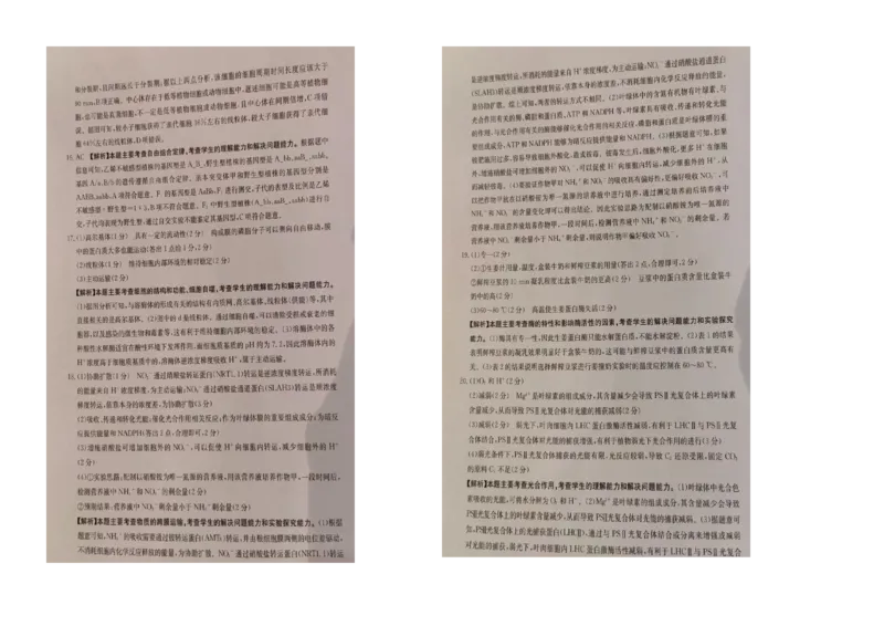 湖南省部分学校2024-2025学年高三上学期10月阶段检测联合考试生物试题+答案_A1502026各地模拟卷（超值！）_10月_241016湖南省金太阳2024-2025学年高三上学期10月阶段检测联合考试