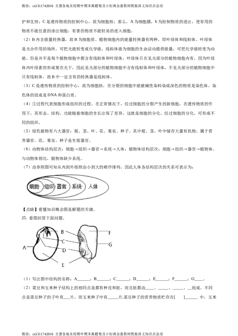 精品解析：北京市昌平区新学道临川学校2020-2021学年七年级12月月考生物试题（解析版）(1)_北京初中期末题_C605-京七八九_B京生物七八九_北京7上生物_2022-2024_北京生物7上月考