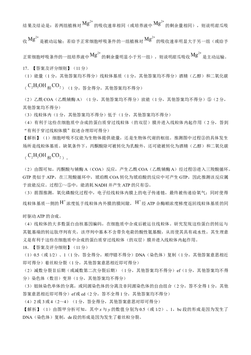 河南省部分重点中学2024-2025学年高三上学期11月质量检测生物试题（含解析）_A1502026各地模拟卷（超值！）_11月_241126河南省部分示范性高中2024-2025学年高三上学期11月期中质量检测