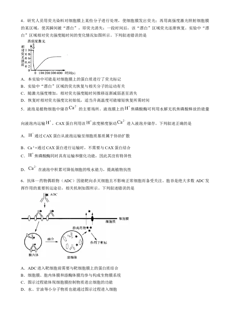 河南省部分重点中学2024-2025学年高三上学期11月质量检测生物试题（含解析）_A1502026各地模拟卷（超值！）_11月_241126河南省部分示范性高中2024-2025学年高三上学期11月期中质量检测
