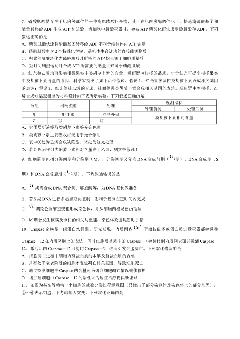 河南省部分重点中学2024-2025学年高三上学期11月质量检测生物试题（含解析）_A1502026各地模拟卷（超值！）_11月_241126河南省部分示范性高中2024-2025学年高三上学期11月期中质量检测