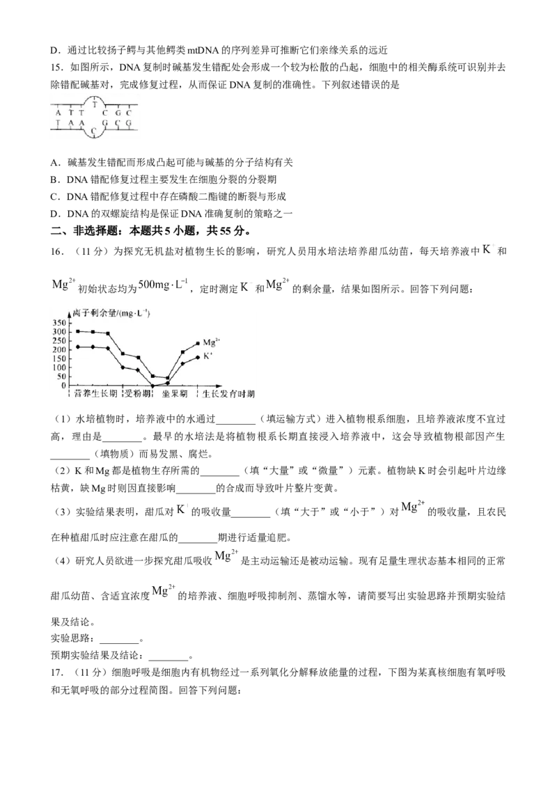 河南省部分重点中学2024-2025学年高三上学期11月质量检测生物试题（含解析）_A1502026各地模拟卷（超值！）_11月_241126河南省部分示范性高中2024-2025学年高三上学期11月期中质量检测