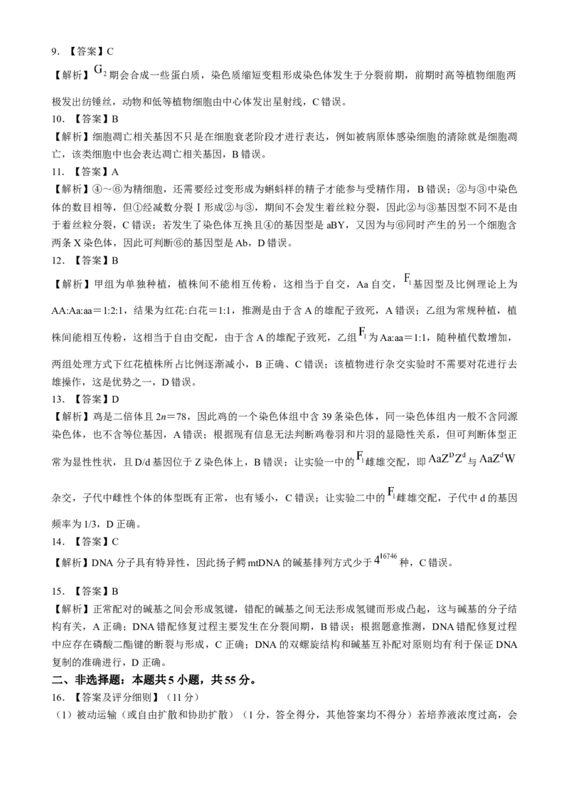 河南省部分重点中学2024-2025学年高三上学期11月质量检测生物试题（含解析）_A1502026各地模拟卷（超值！）_11月_241126河南省部分示范性高中2024-2025学年高三上学期11月期中质量检测