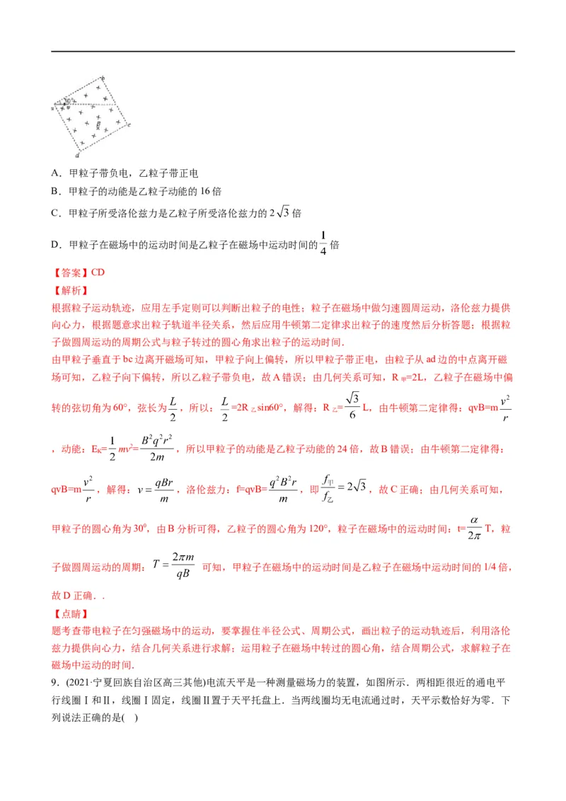 专题10：磁场的性质、带电粒子在磁场中的运动(解析版)_4.2025物理总复习_赠品通用版（老高考）复习资料_二轮复习_2023年高考物理毕业班二轮热点题型归纳与变式演练（全国通用）