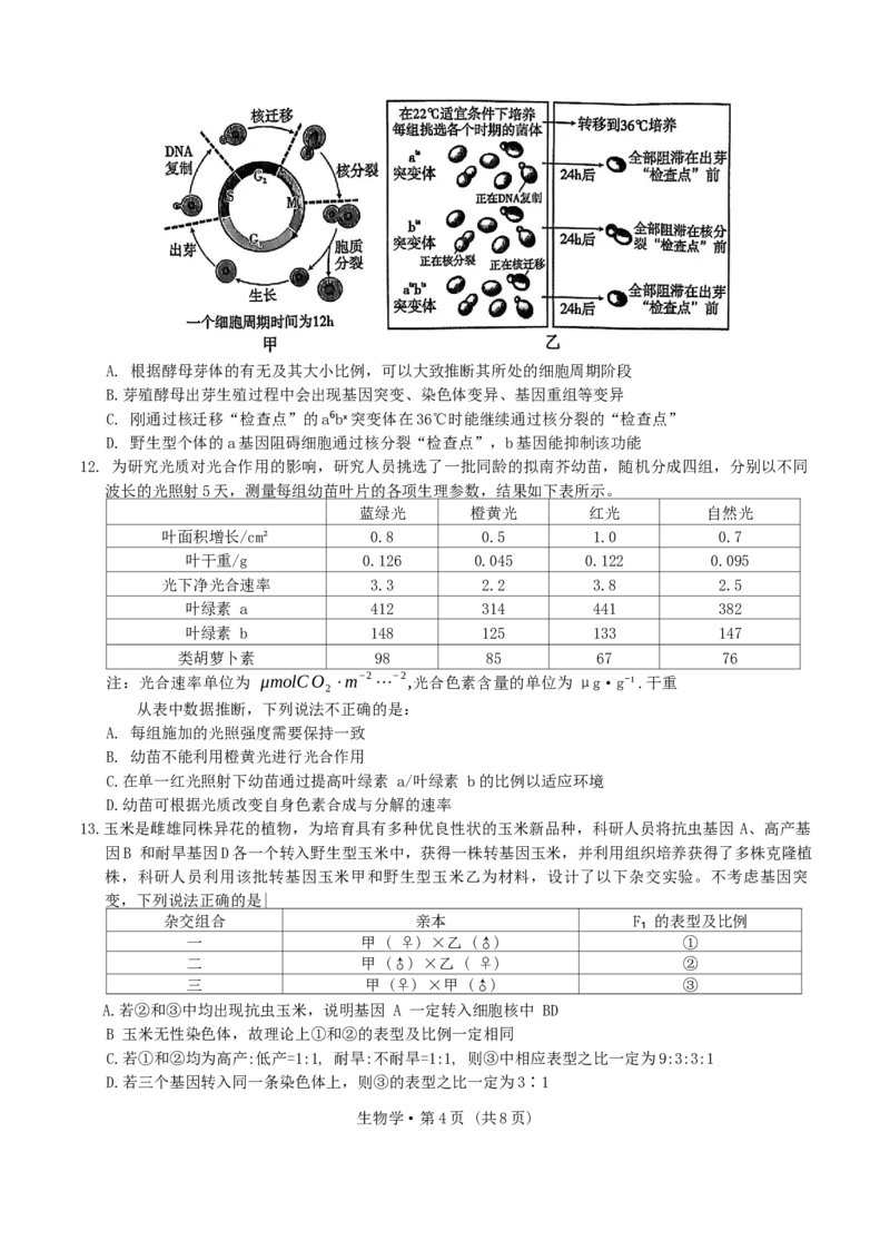 重庆市第一中学校2024-2025学年高三上学期11月期中生物学试题卷_A1502026各地模拟卷（超值！）_12月_241201重庆市第一中学校2024-2025学年高三上学期11月期中考试（全科）