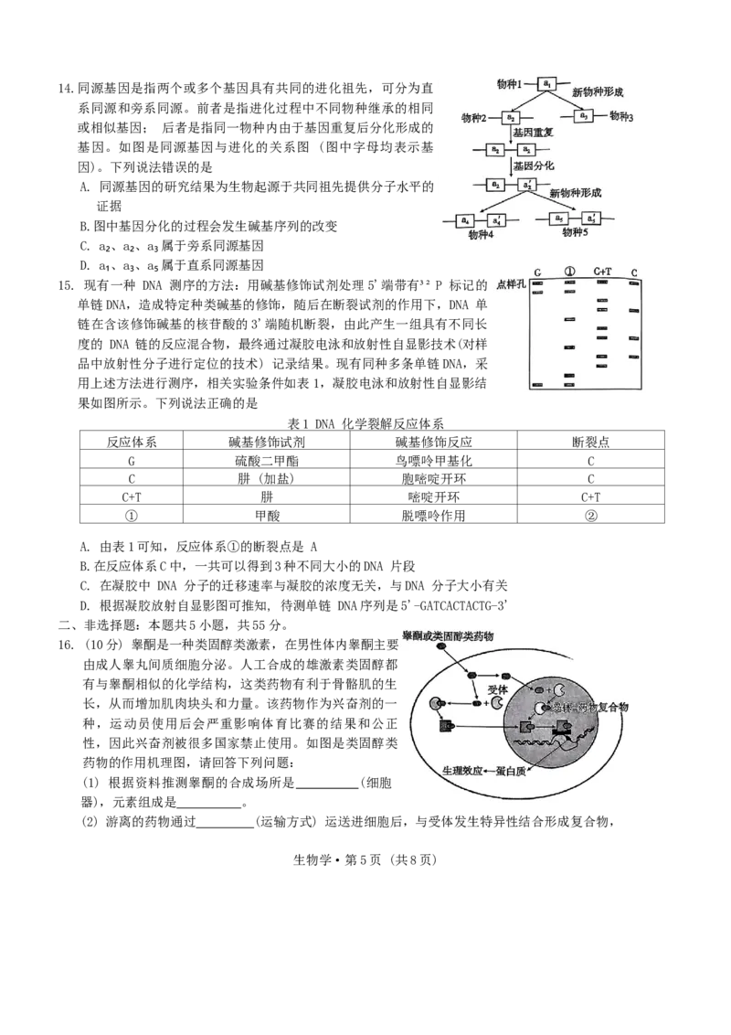 重庆市第一中学校2024-2025学年高三上学期11月期中生物学试题卷_A1502026各地模拟卷（超值！）_12月_241201重庆市第一中学校2024-2025学年高三上学期11月期中考试（全科）