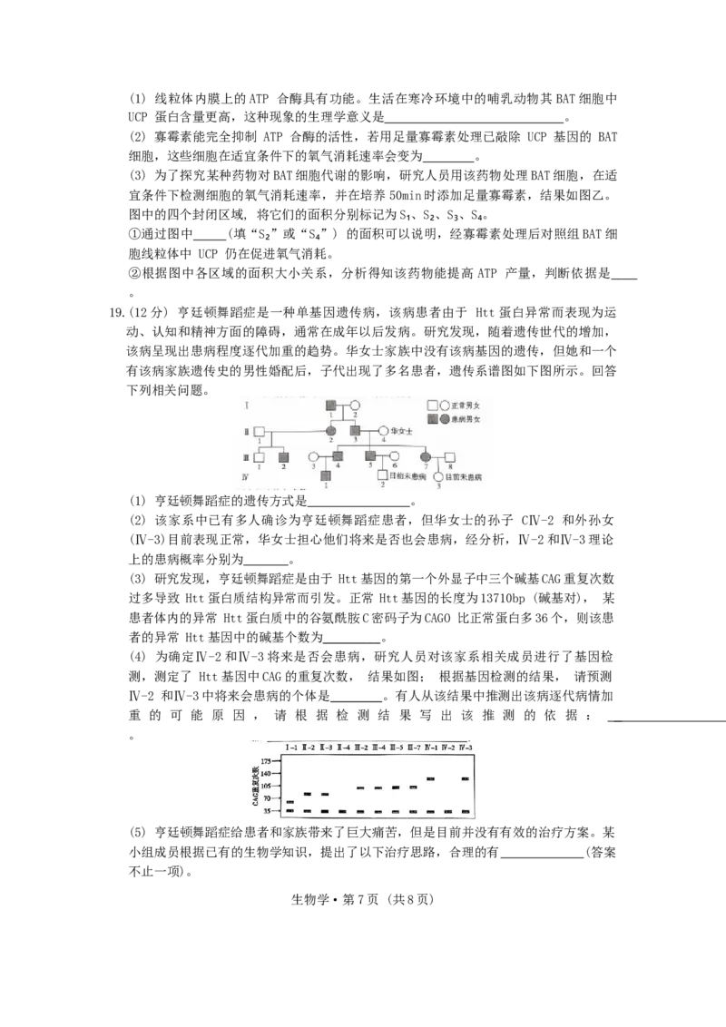 重庆市第一中学校2024-2025学年高三上学期11月期中生物学试题卷_A1502026各地模拟卷（超值！）_12月_241201重庆市第一中学校2024-2025学年高三上学期11月期中考试（全科）