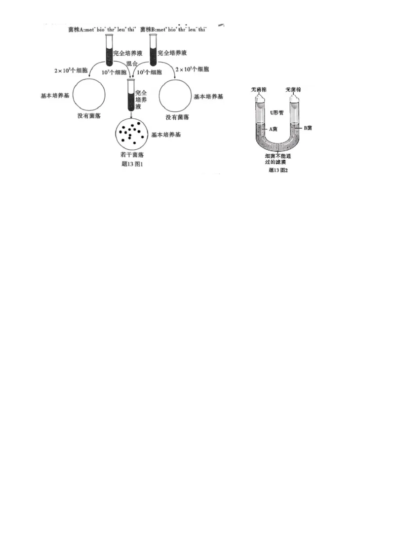 重庆市南开中学校2025届高三第四次质量检测生物试题（含答案）_A1502026各地模拟卷（超值！）_12月_241207重庆市南开中学校2025届高三第四次质量检测
