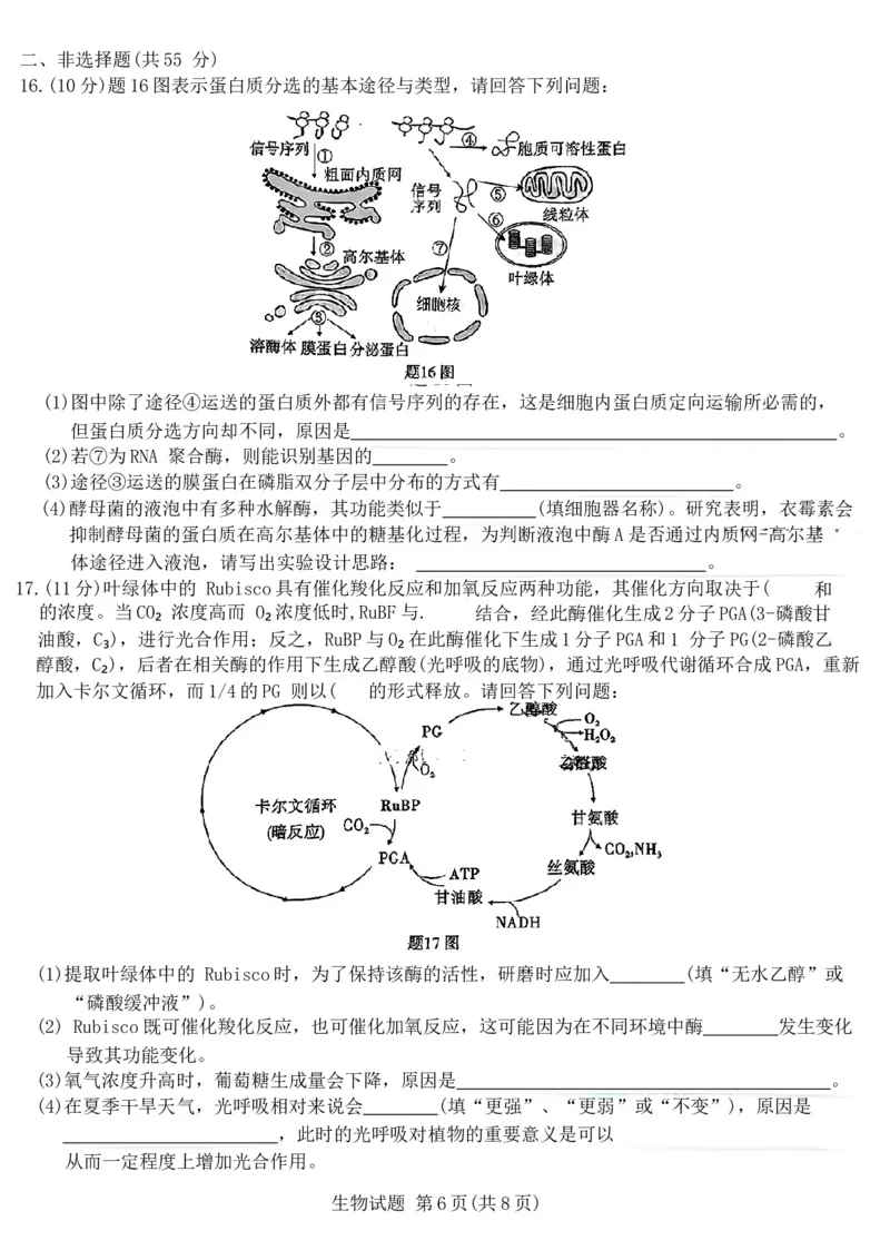 重庆市南开中学校2025届高三第四次质量检测生物试题（含答案）_A1502026各地模拟卷（超值！）_12月_241207重庆市南开中学校2025届高三第四次质量检测