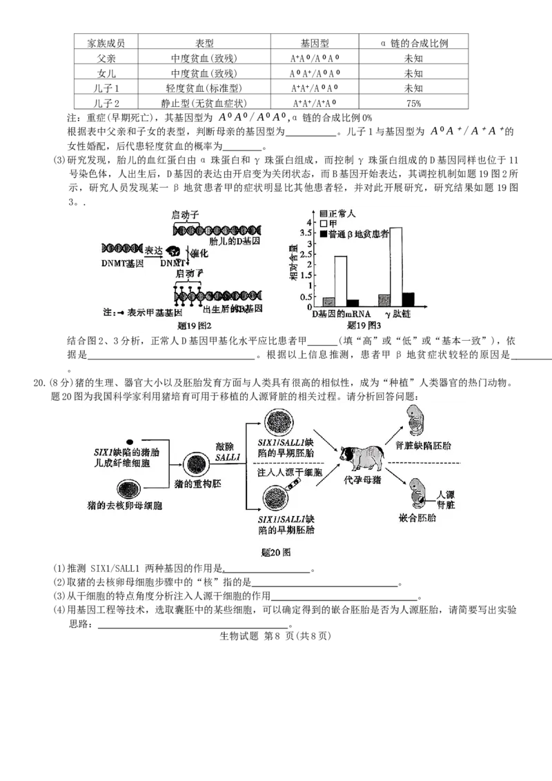 重庆市南开中学校2025届高三第四次质量检测生物试题（含答案）_A1502026各地模拟卷（超值！）_12月_241207重庆市南开中学校2025届高三第四次质量检测