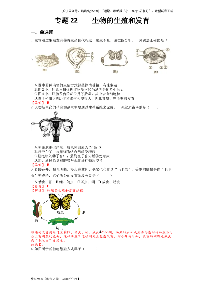 专题22生物的生殖和发育（解析版）_02中考总复习（2026版更新中）_08-生物-中考总复习_2024年中考复习资料_一轮复习_配套练习_教师版（含答案解析）