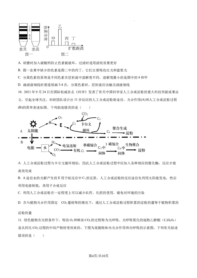 江西省宜春市丰城市第九中学2024-2025学年高三上学期第一次段考生物_A1502026各地模拟卷（超值！）_10月_241025江西省宜春市丰城市第九中学2024-2025学年高三上学期第一次段考（全）