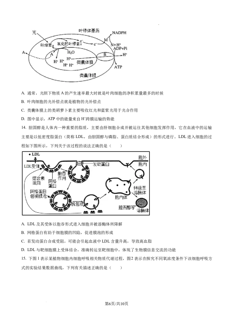 江西省宜春市丰城市第九中学2024-2025学年高三上学期第一次段考生物_A1502026各地模拟卷（超值！）_10月_241025江西省宜春市丰城市第九中学2024-2025学年高三上学期第一次段考（全）