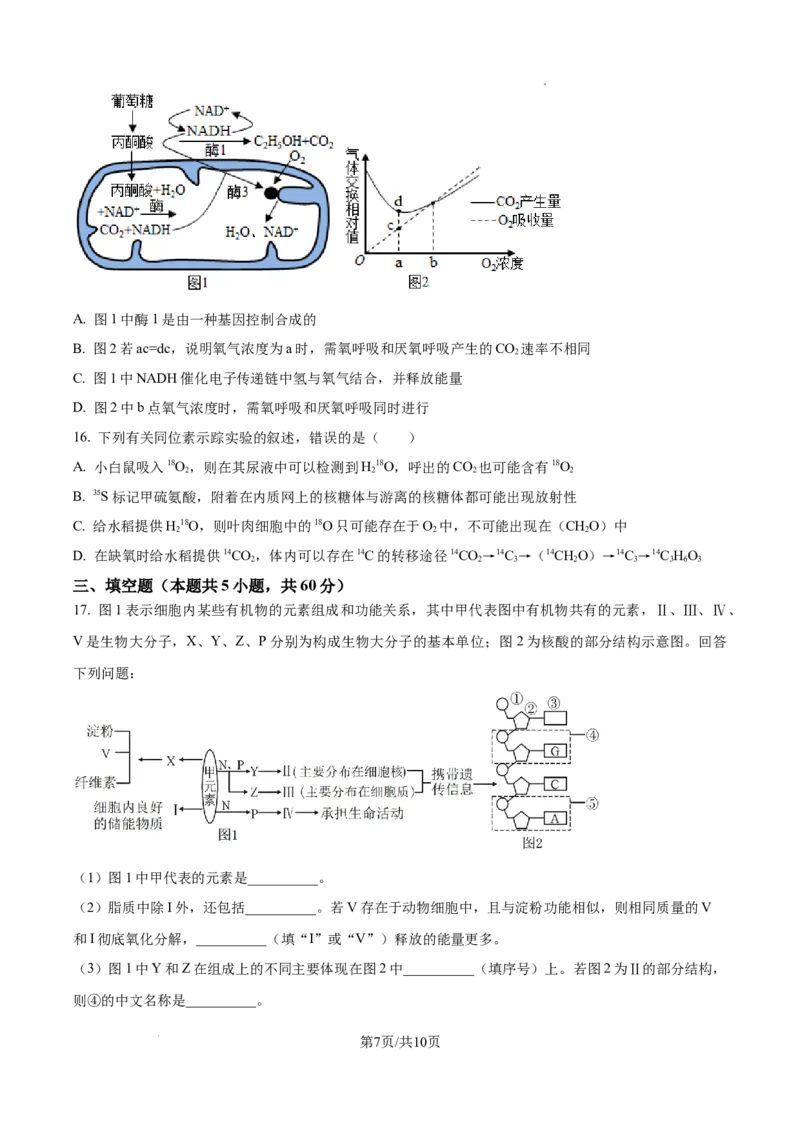 江西省宜春市丰城市第九中学2024-2025学年高三上学期第一次段考生物_A1502026各地模拟卷（超值！）_10月_241025江西省宜春市丰城市第九中学2024-2025学年高三上学期第一次段考（全）